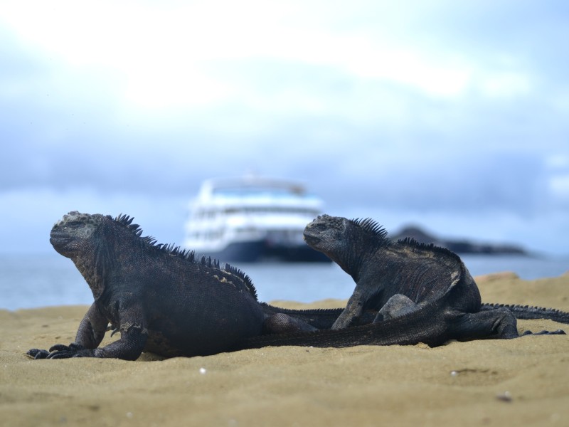 Die Besucher werden schon erwartet