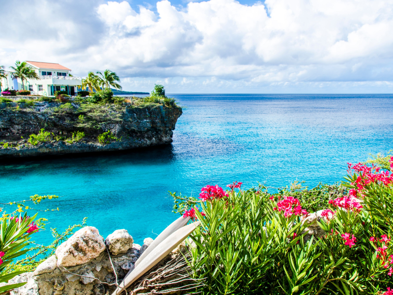 Playa Lagun Beach Cliff