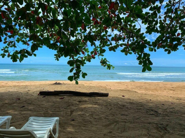 Almonds & Corals_Strand