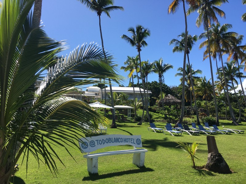 Todo Blanco - Gartenanlage