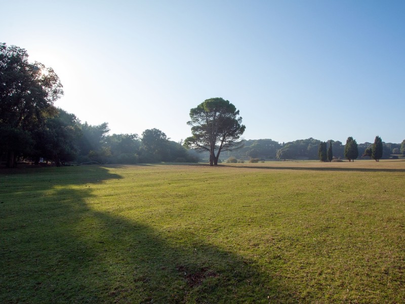 Brijuni Park