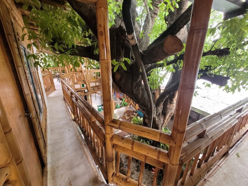 Tatacoa Star Ecohotel -  Baum im Patio