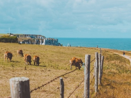 France - Normandy