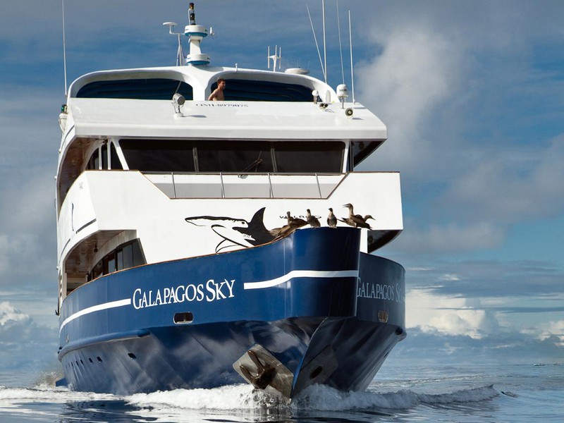 Das Tauchschiff "Galapagos Sky"