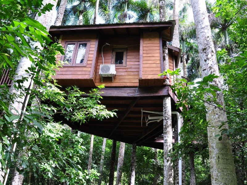 Platon Eco Lodge - Baumhaus