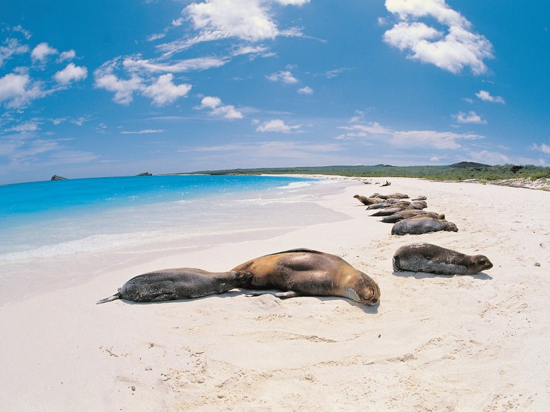 Ecuador - Galapagos