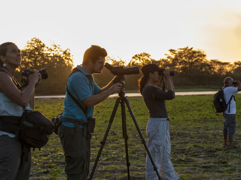 Natural - Bird Watching