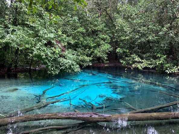 All day Krabi Jungle Tour (Hot Spring Wa
