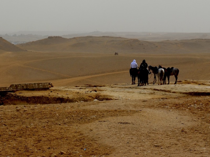 Desert visit