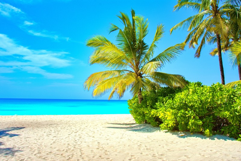 Zanzibar 
