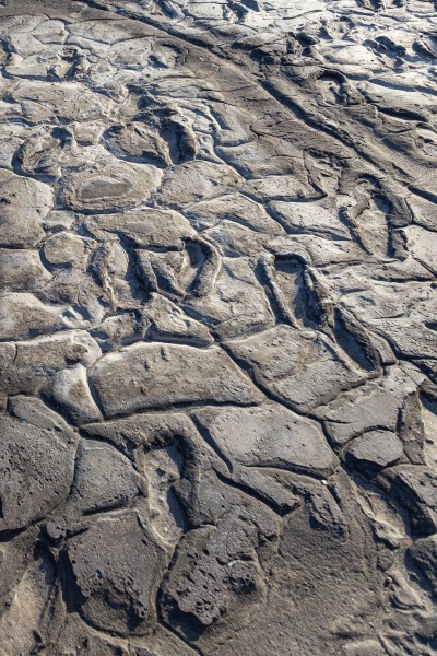 Hominid Footprints at Lake Natron