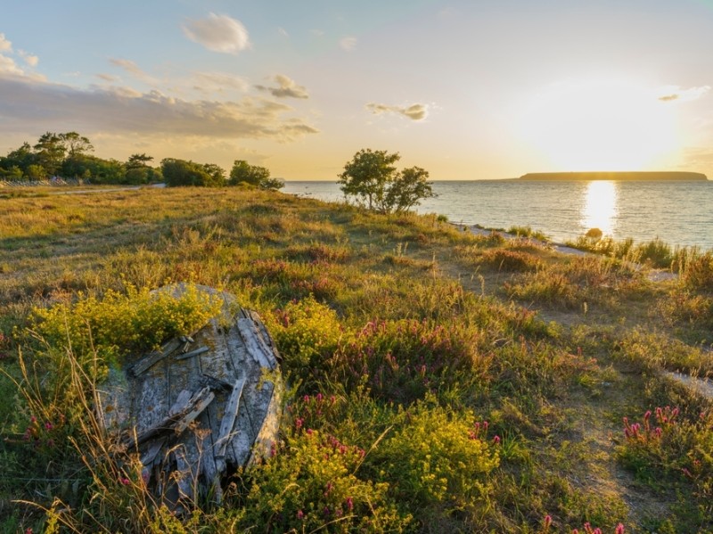 Gotland