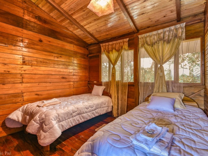 Room with Twin Beds, Paz de las Aves