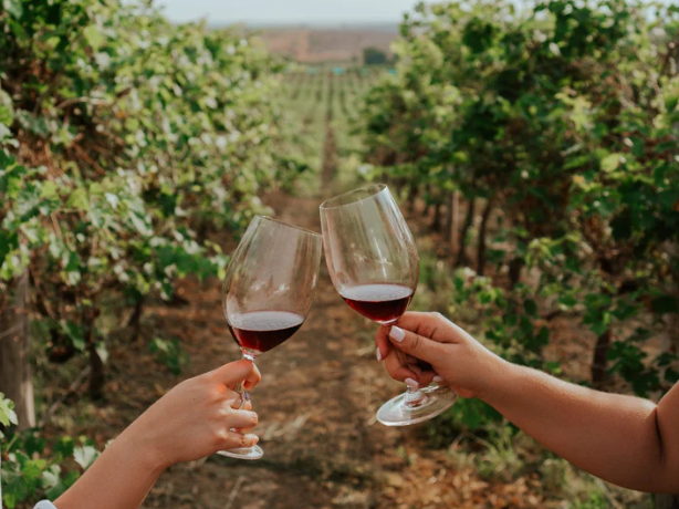 Dos Hemisferios - Wein und Weinberge