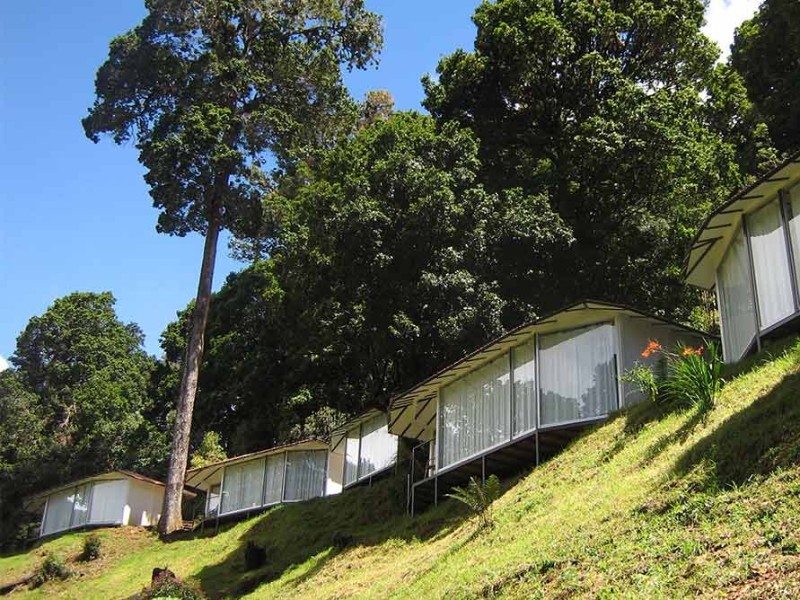 Dantica Lodge