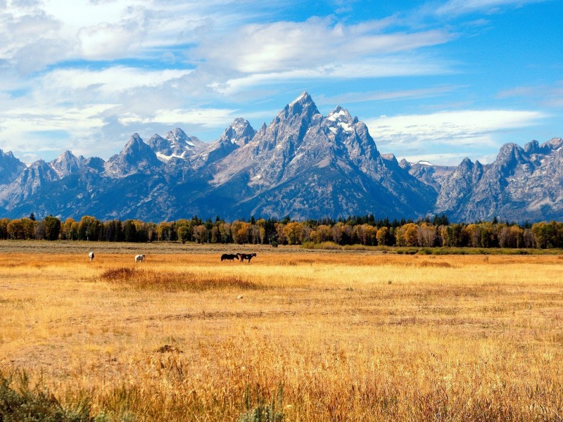 Field and Mountain in Jackson (Wyoming)