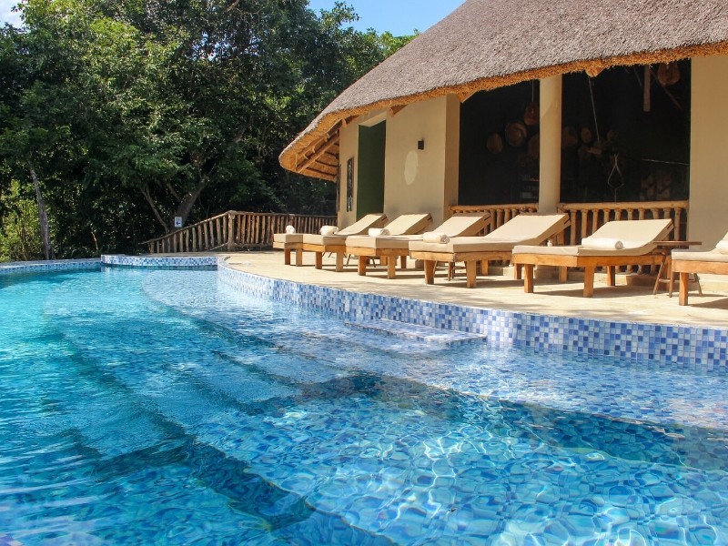 Africa Safari Nyerere