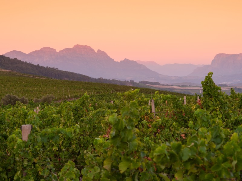 Stellenbosch-Kapstadt-Südafrika