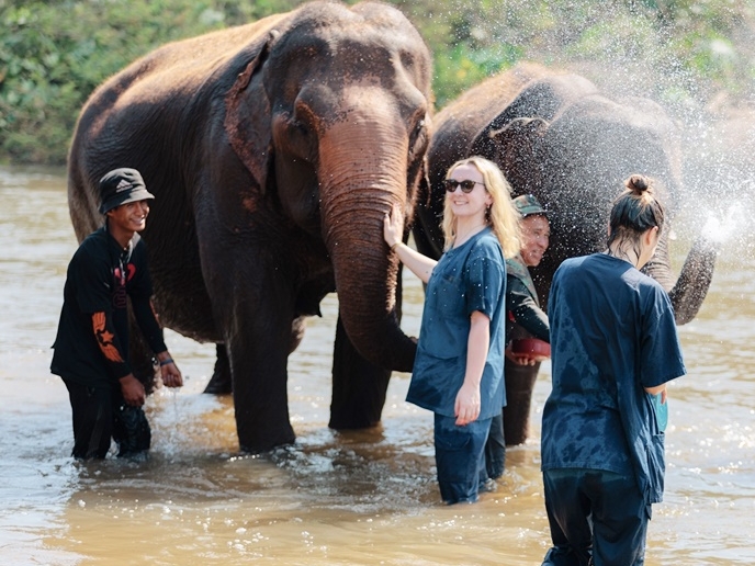 Elephant Sanctuary