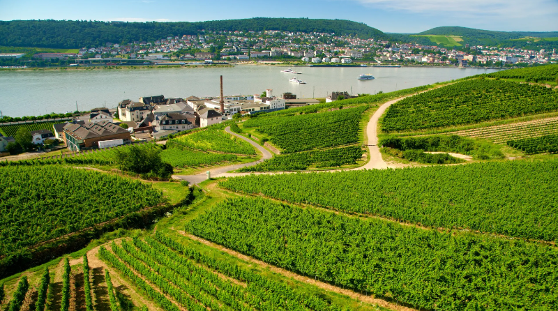 Rüdesheim