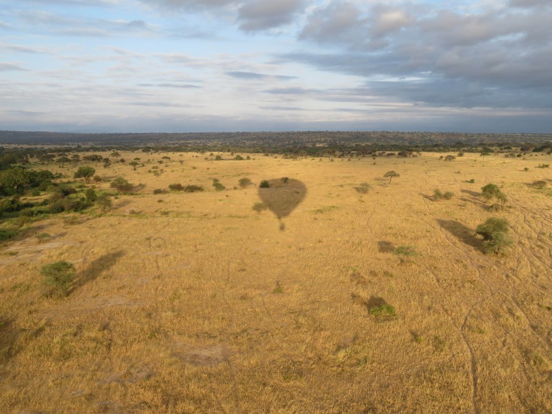 Hot Air Balloon Safari in Tarangire 