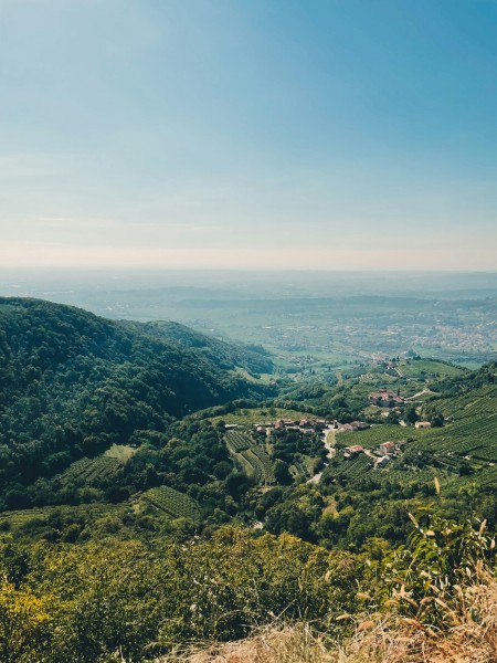 THE ESSENCE OF VALPOLICELLA