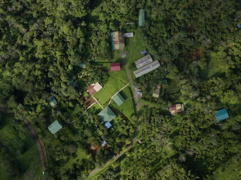 Finca - Ausicht von oben