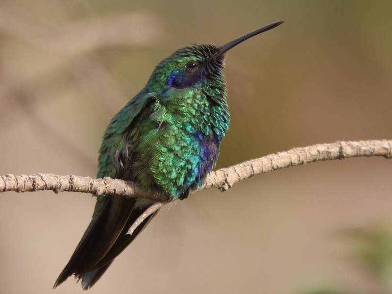 Der Natur auf der Spur