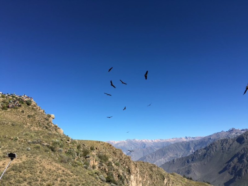 Colca Canyon Cruz del Condor