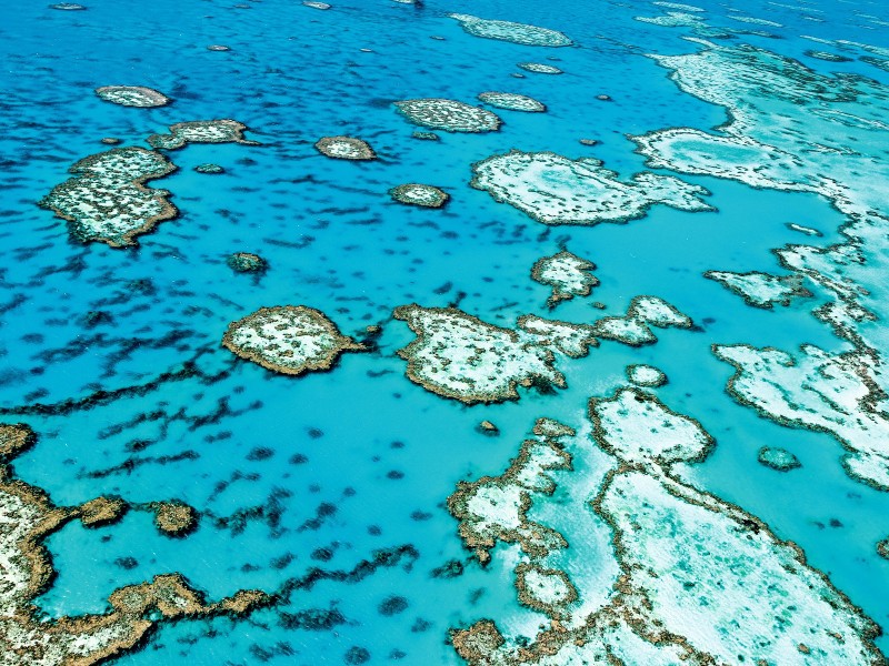 Australia-Great Barrier Reef