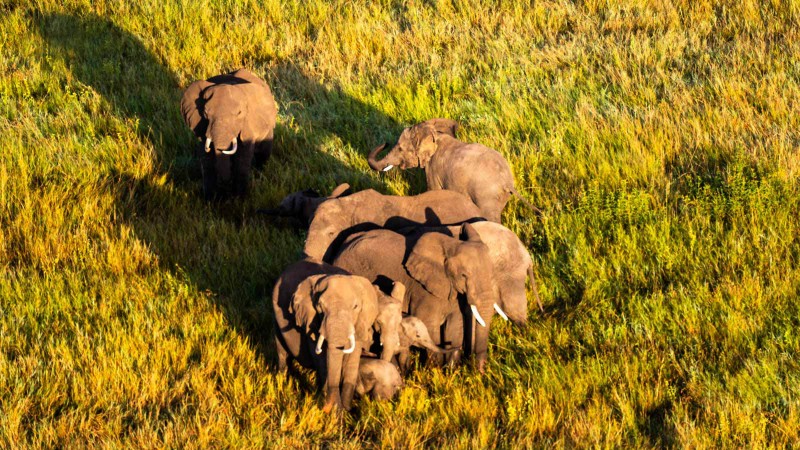 Ballonsafari über der Serengeti