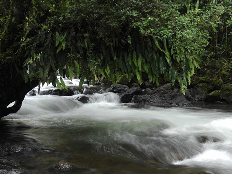 Hot Thermal Springs (Photo Surtrek)
