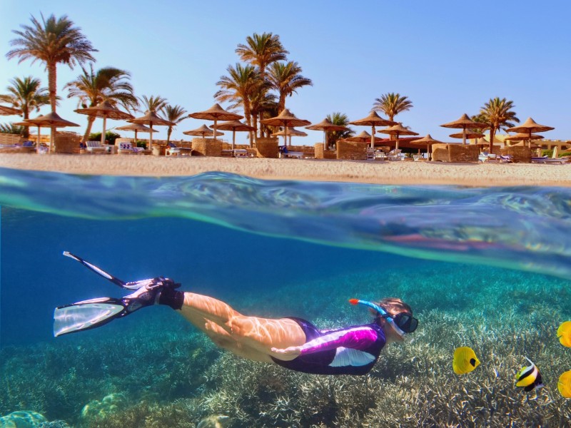 El Gouna snorkeling