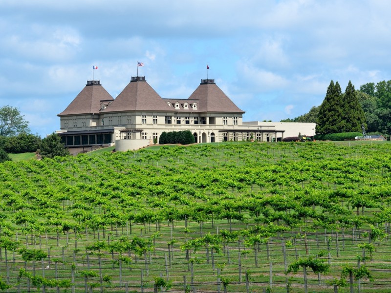 vineyard georgia header 