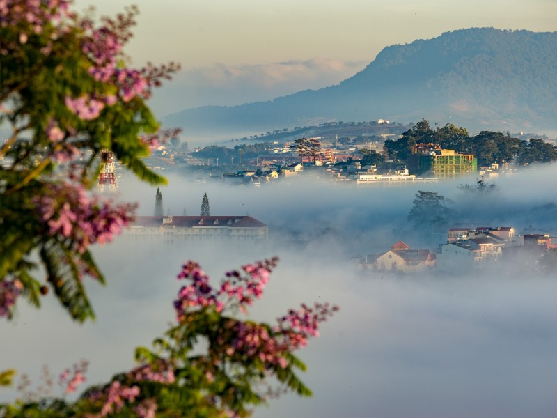 Vietnam - Đà Lạt