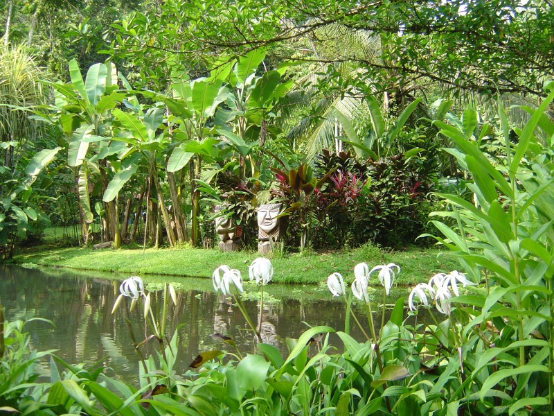 Esquinas Rainforest Lodge - Garten
