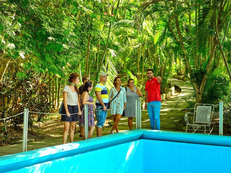 Auf den Spuren Hemingway's