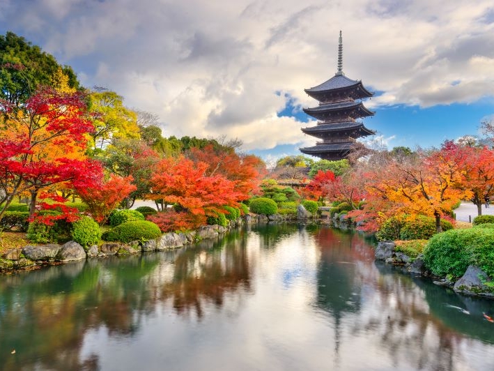 Japan Kyoto Autumm