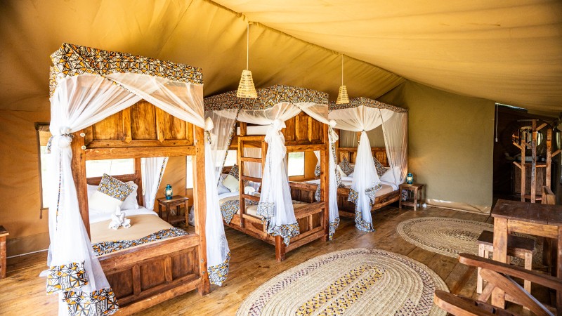 Africa Safari Ikoma Safari Family Comfort