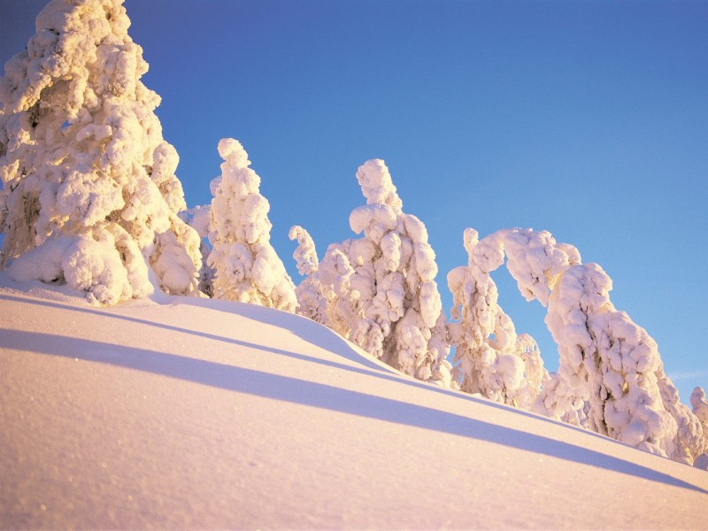 Finland - Rovaniemi 