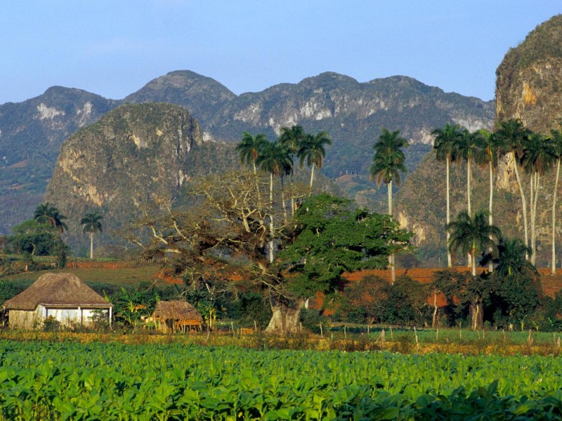 Viñales