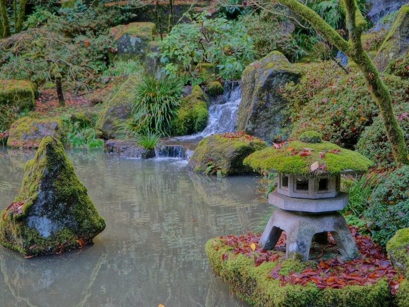 Pacific Northwest and California Adventure (Seattle to San Francisco) - 23