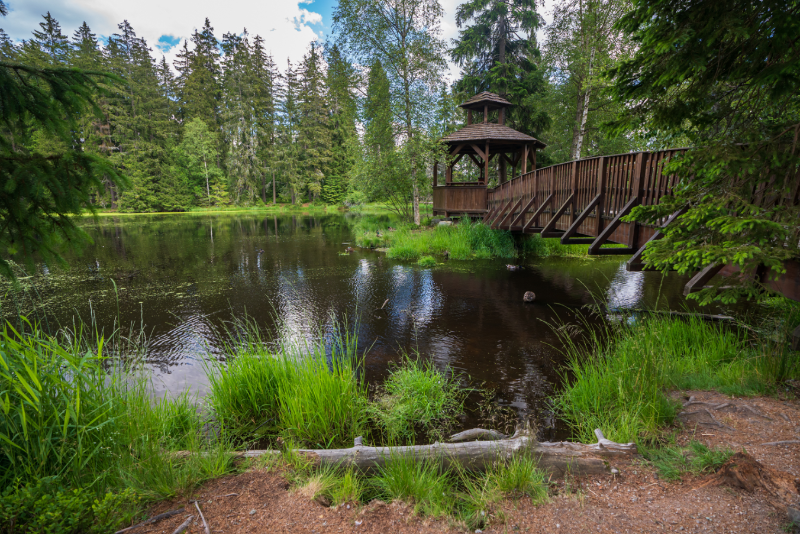 Karlovy Vary surroundings