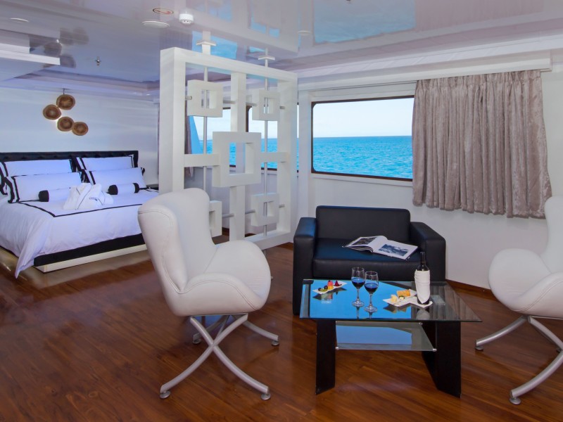 MC PETREL Suite