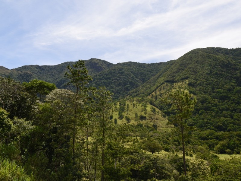 Panamonte Inn Aussicht