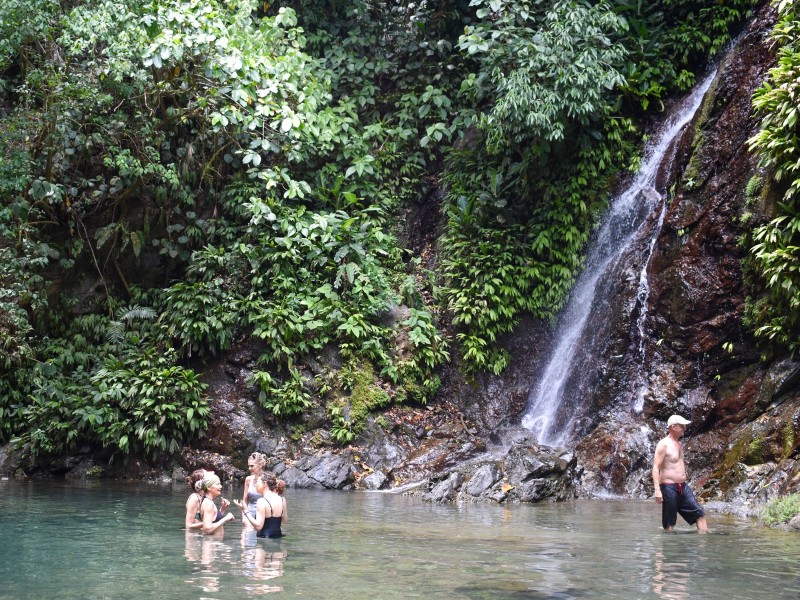 Los Campesinos - Besondere Erlebnisse