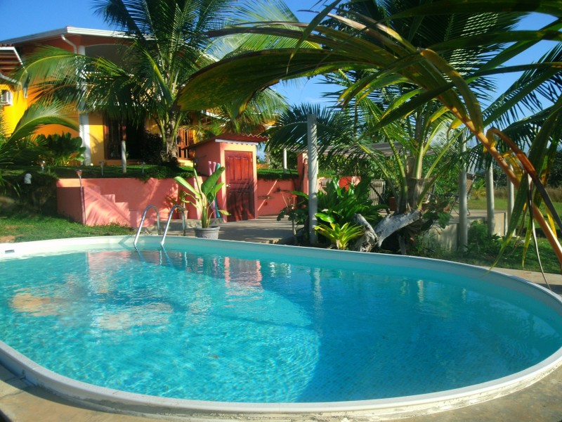 Finca Buena Vista Pool