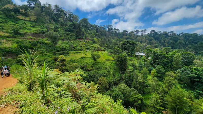 Kaffeetour auf einer Plantage in Karatu