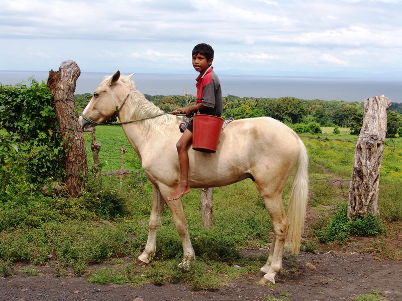 Kind auf Pferd bei Ometepe