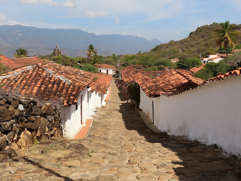 Guane